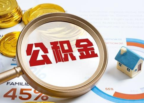 驻马店2025年政策调整对个人影响综合解析‌